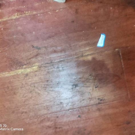 登录器 米兰体育